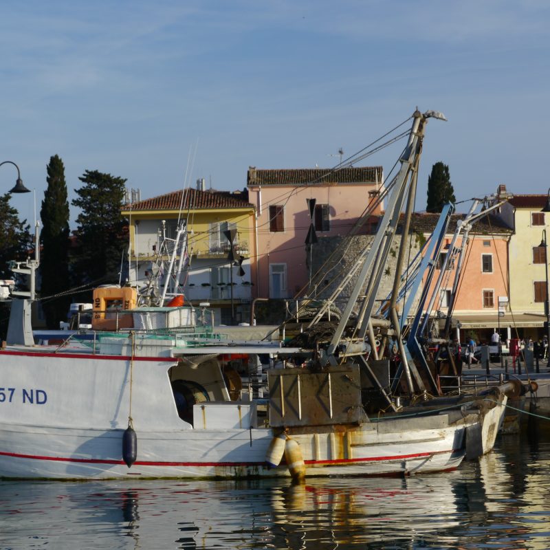 Hafen von Novigrad