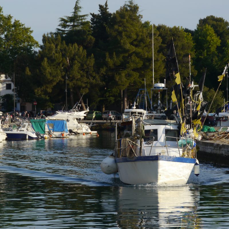 Hafen von Novigrad